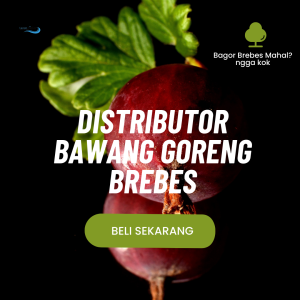 Distributor Bawang Goreng Brebes