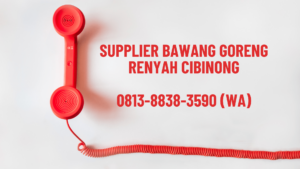 Supplier Bawang Goreng Renyah Cibinong