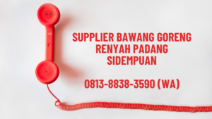 Supplier Bawang Goreng Renyah Padang Sidempuan