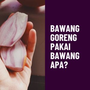 Bawang-Goreng-Pakai-Bawang-Apa-NION-NION