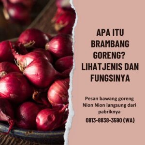 Brambang Goreng, Apa Itu Jenis dan Fungsinya - Nion Nion