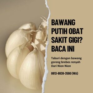 Bawang Putih Obat Sakit Gigi - Nion Nion