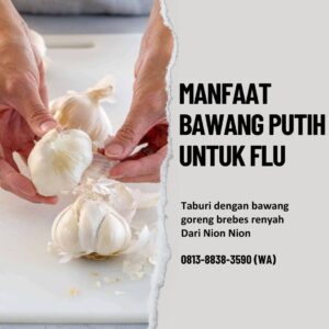 Manfaat Bawang Putih Untuk Flu - Nion Nion