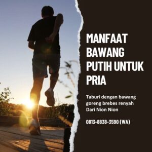 Manfaat Bawang Putih Untuk Pria Nion Nion