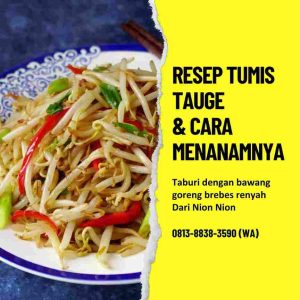 Resep Tumis Tauge Nion Nion