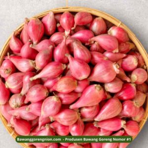 Kelebihan Bawang Merah Brebes - Nion Nion