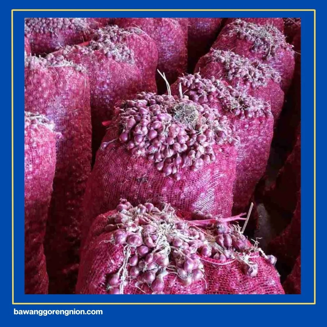 Supplier Bawang Merah Goreng Kiloan