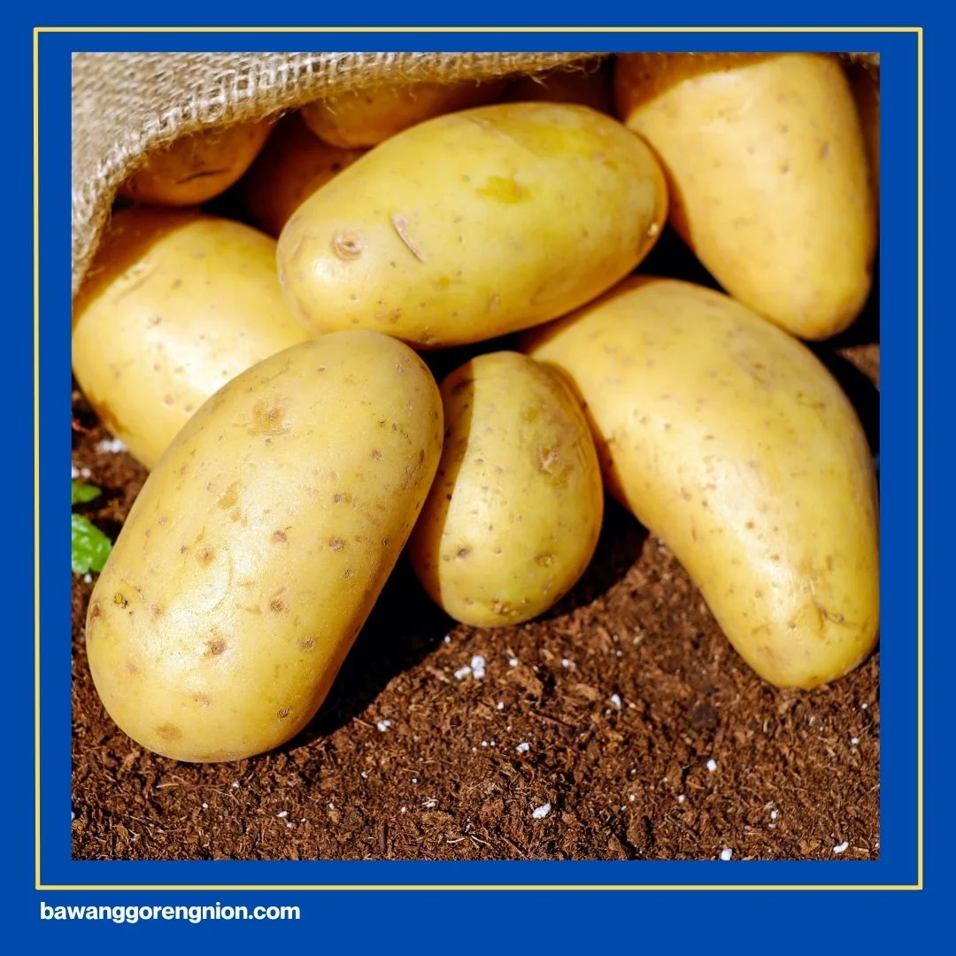 Harga Kering Kentang Mustofa 1 Kg