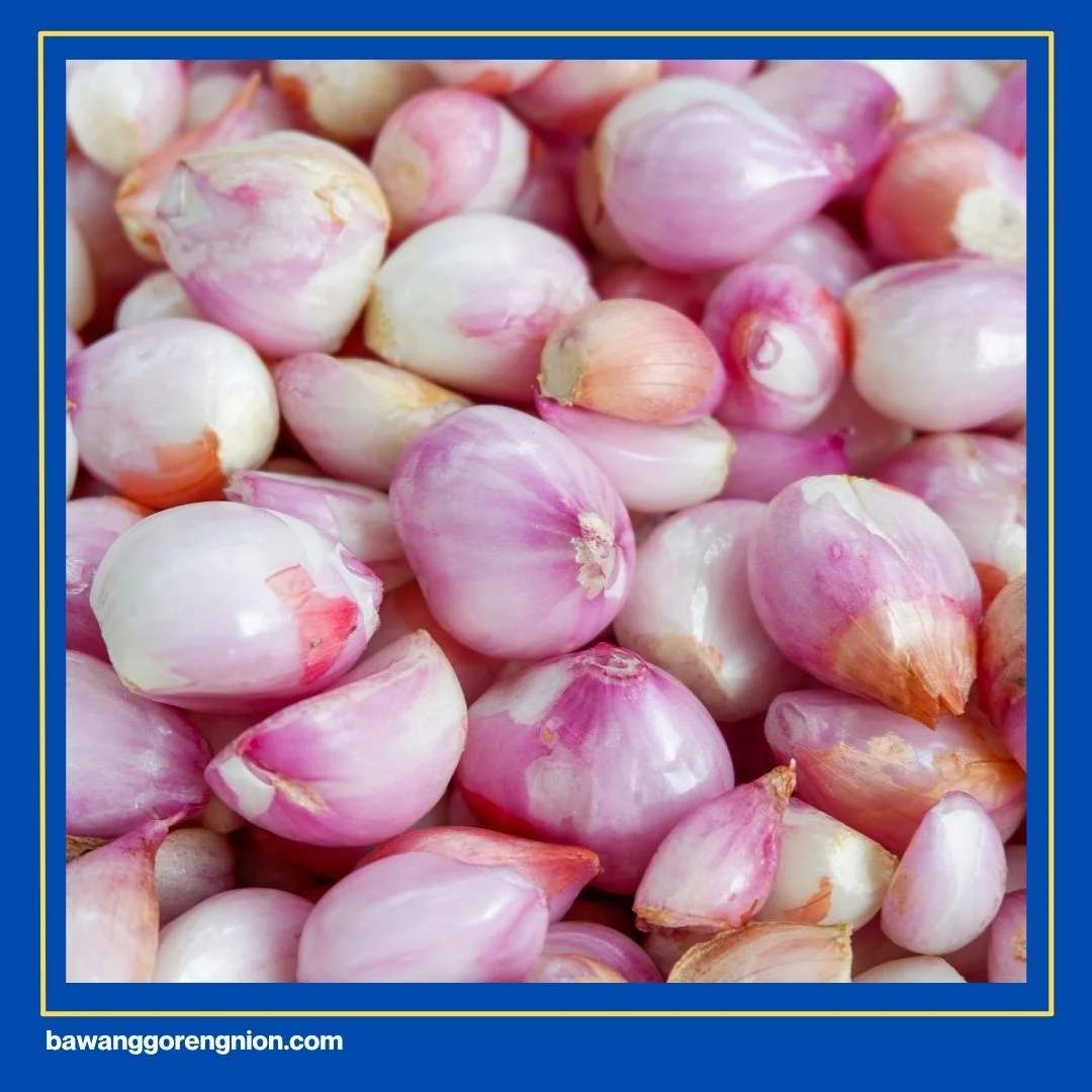 Cara Bisnis Bawang Merah Goreng