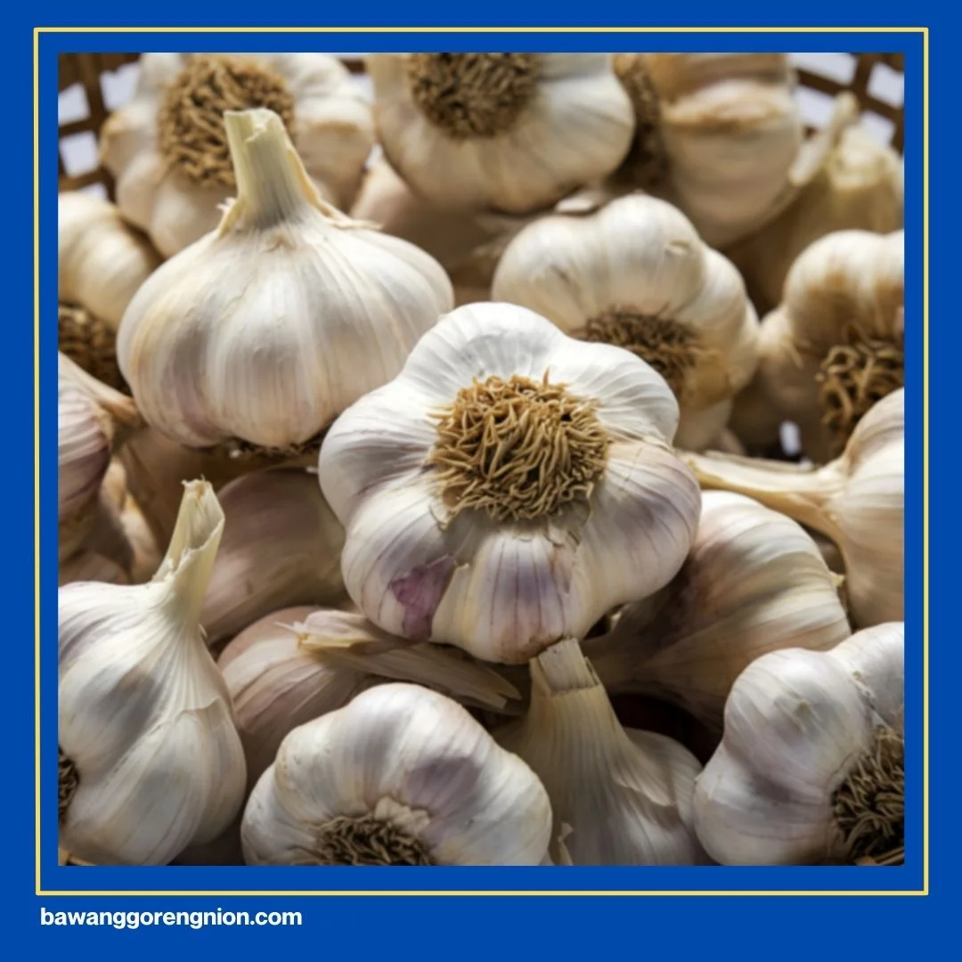 Harga Bawang Putih Goreng 1 Kg Hari Ini