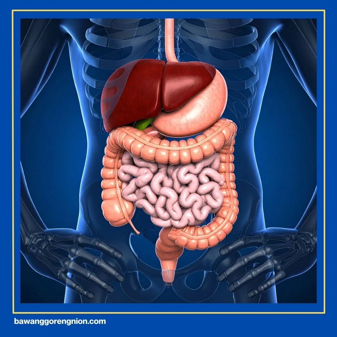 Manfaat Mengonsumsi Bawang Putih Goreng