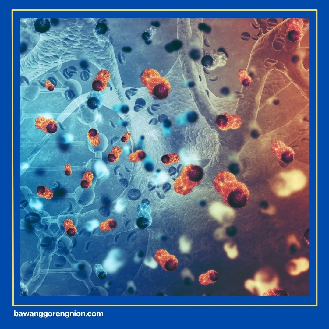 Manfaat Mengonsumsi Bawang Putih Goreng