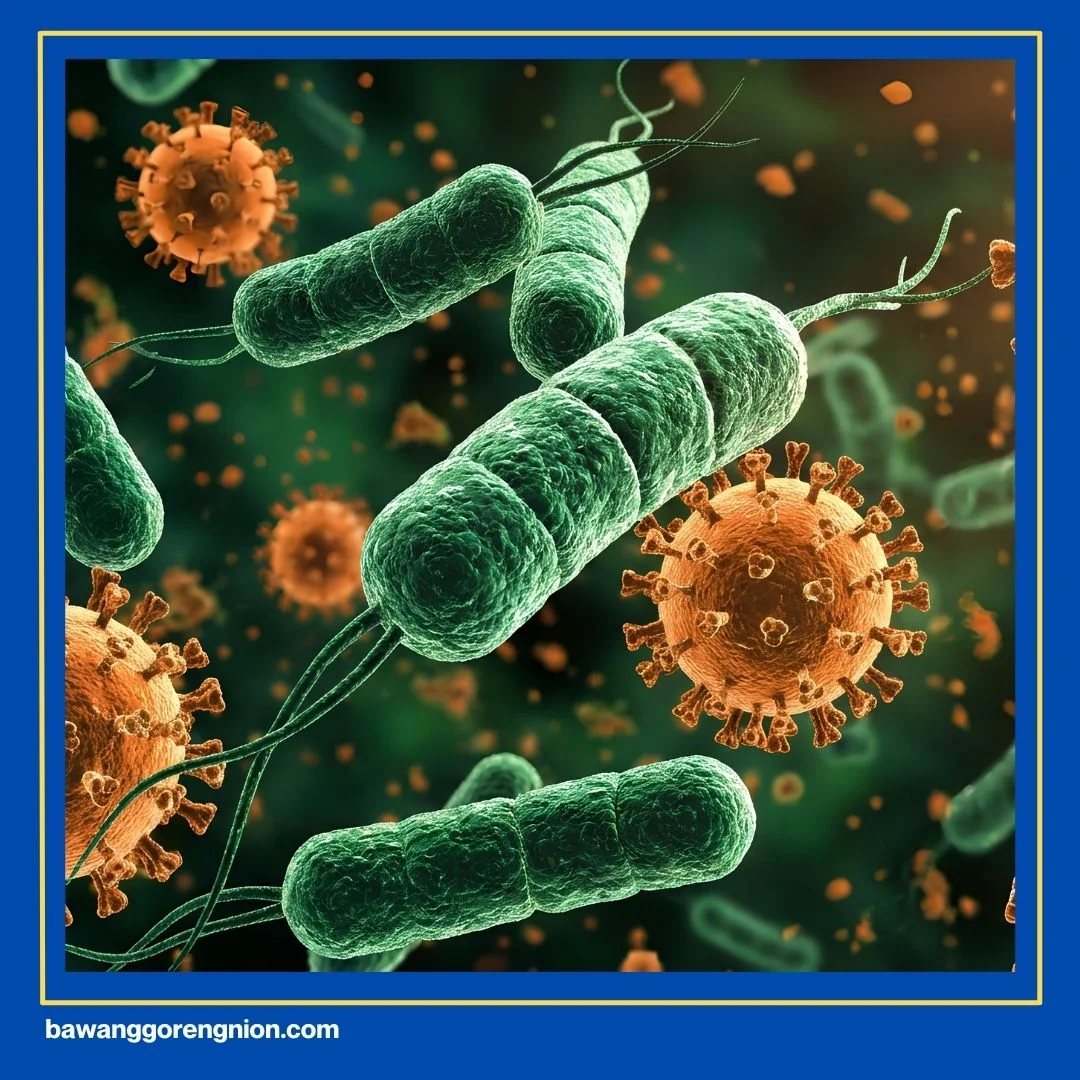 Manfaat Mengonsumsi Bawang Putih Goreng