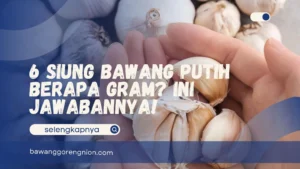 6 Siung Bawang Putih Berapa Gram