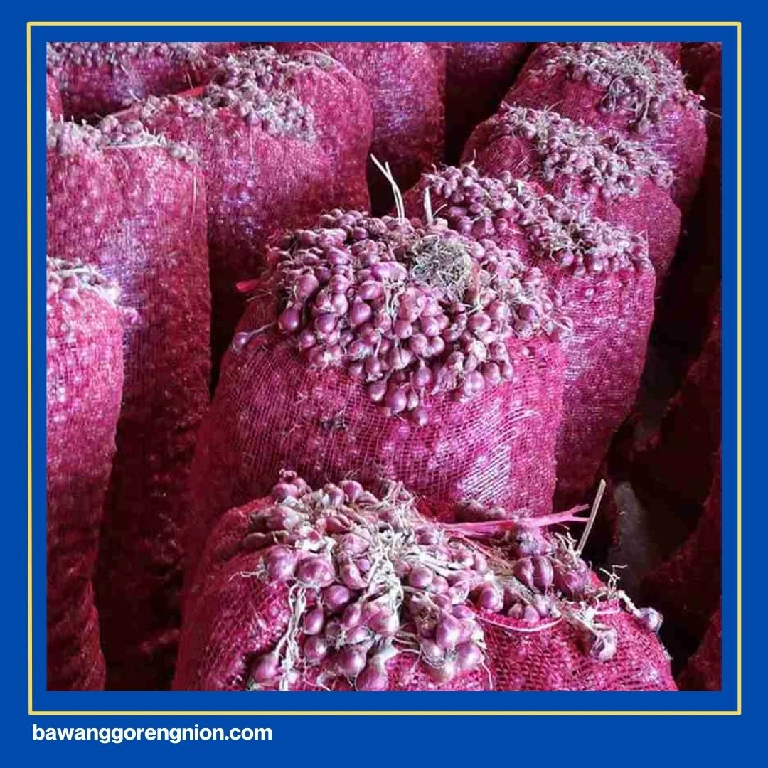 Usaha Bawang Merah Goreng