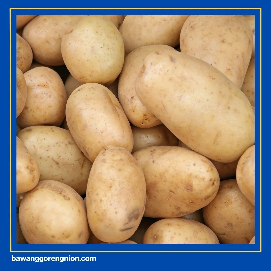 Usaha Kentang Mustofa