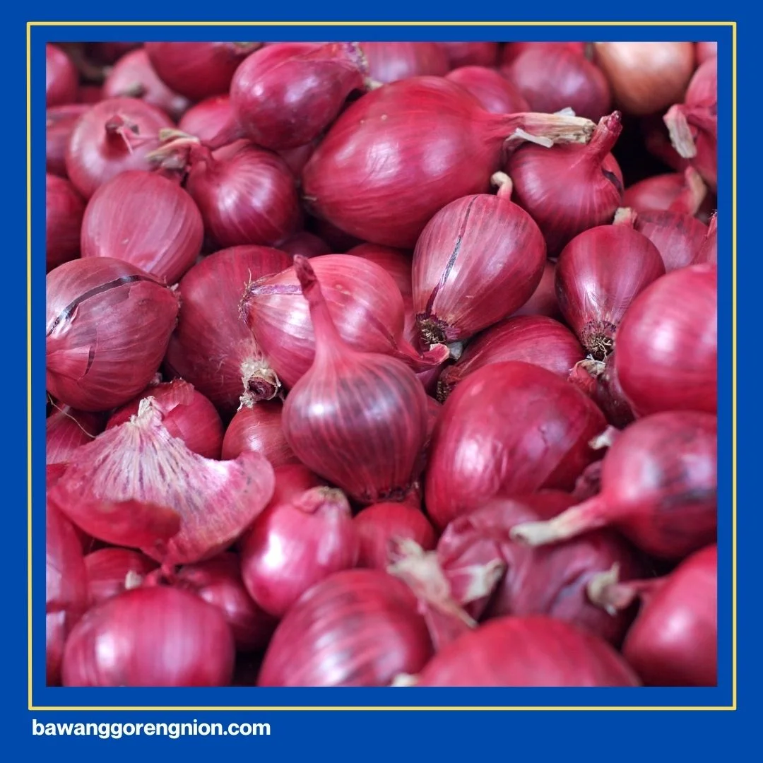 5 Jenis Bawang