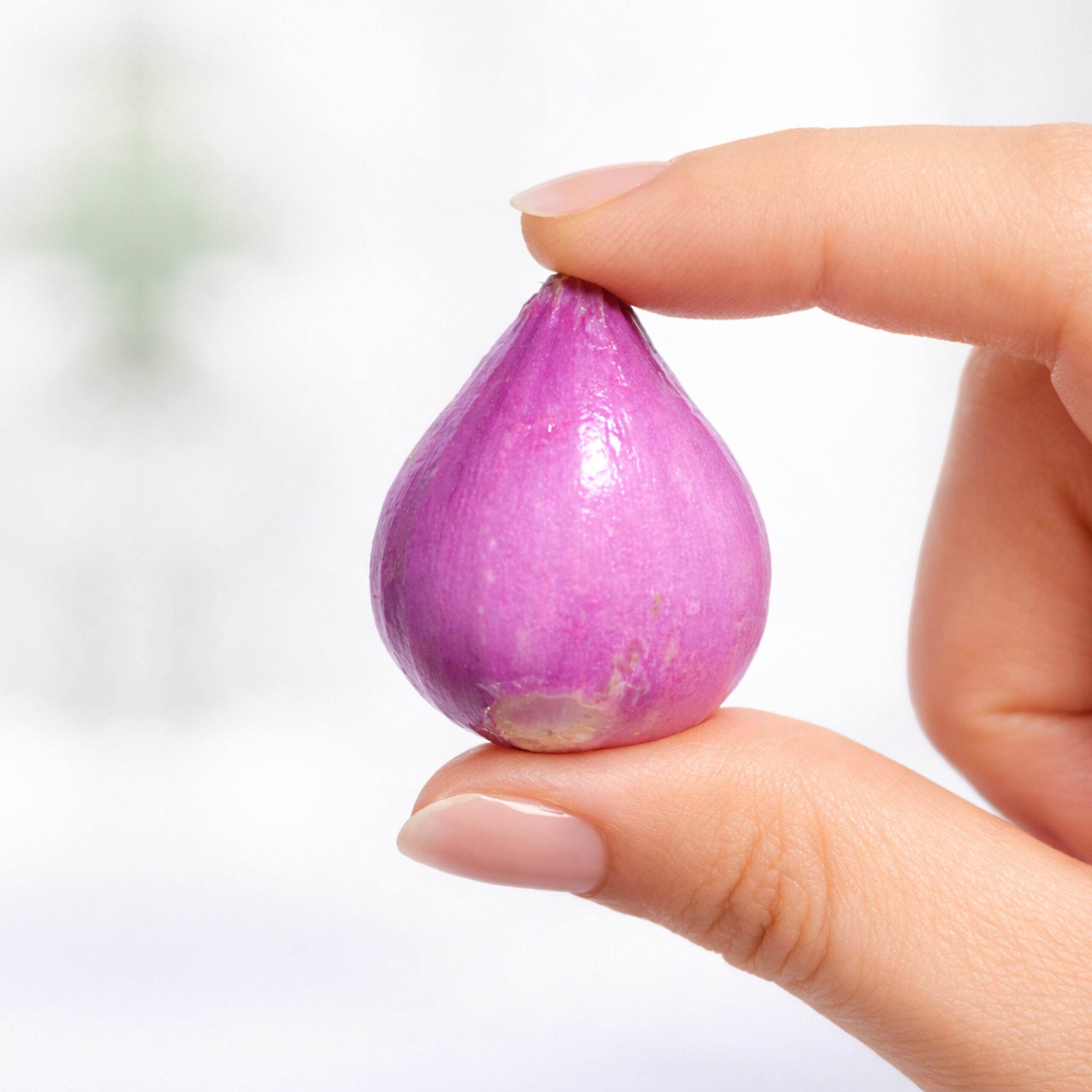 BAWANG MERAH MENTAH GRADE B