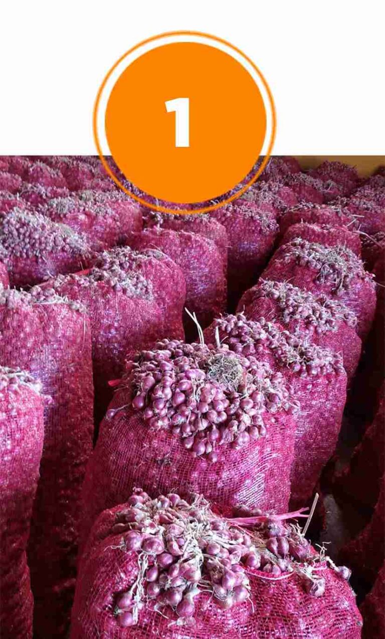 Bawang-Merah-Pilihan-Nion-Nion