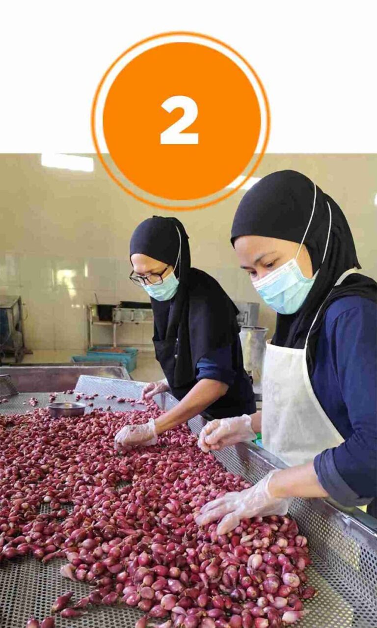 Proses-Mencuci-Bawang-Merah-Nion-Nion-922x1536